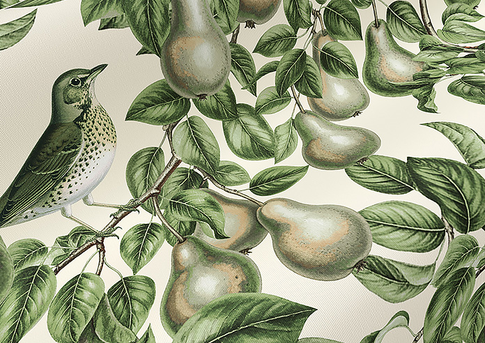 Pears, Coriscon - Roller Blind - Image 4